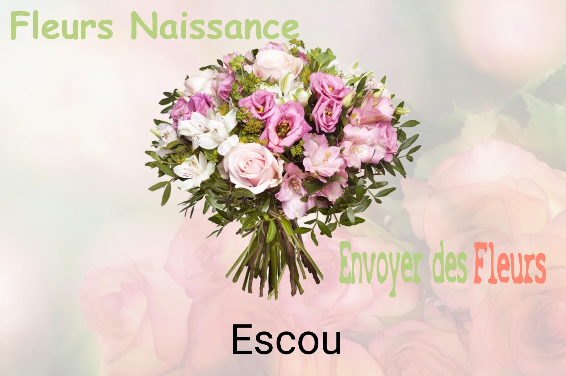 Bouquet de fleurs de naissance livré à Escou
